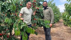 ארגון מגדלי הפירות, צילום: ארגון מגדלי הפירות